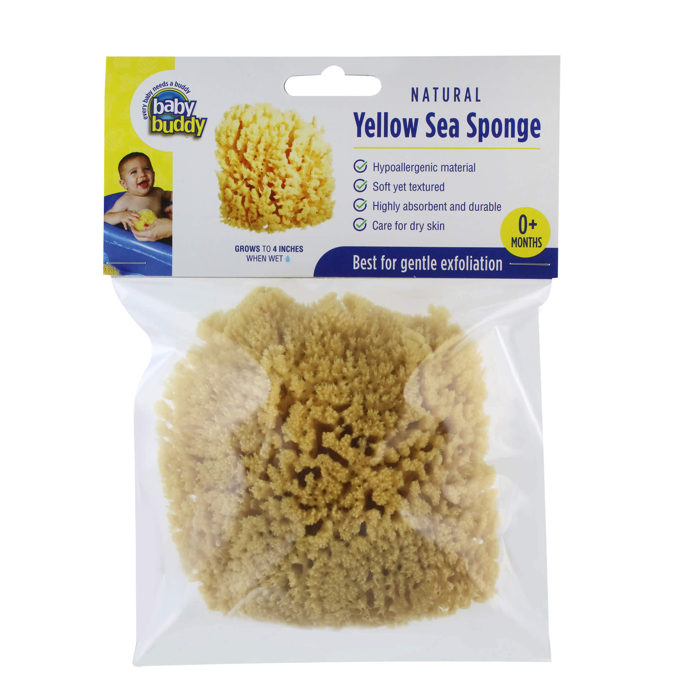 Premium 4 Yellow Sea Sponge for Bath Time